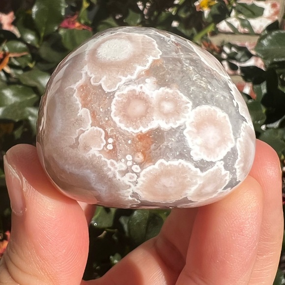 Quartzy Flower Agate Palm - Picture 7 of 7